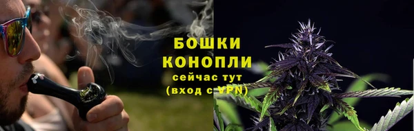 СК Бородино